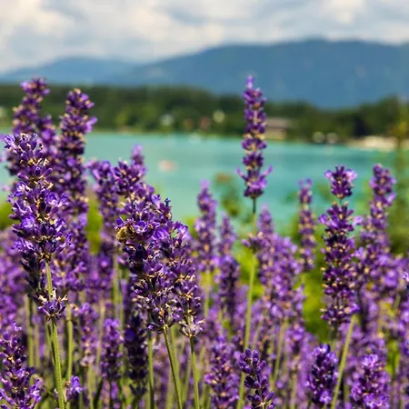 Apartment Lakeside Apartments - Adults Only Faak am See