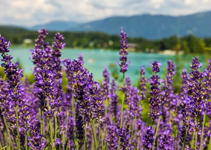 Apartament Lakeside - Adults Only Faak am See